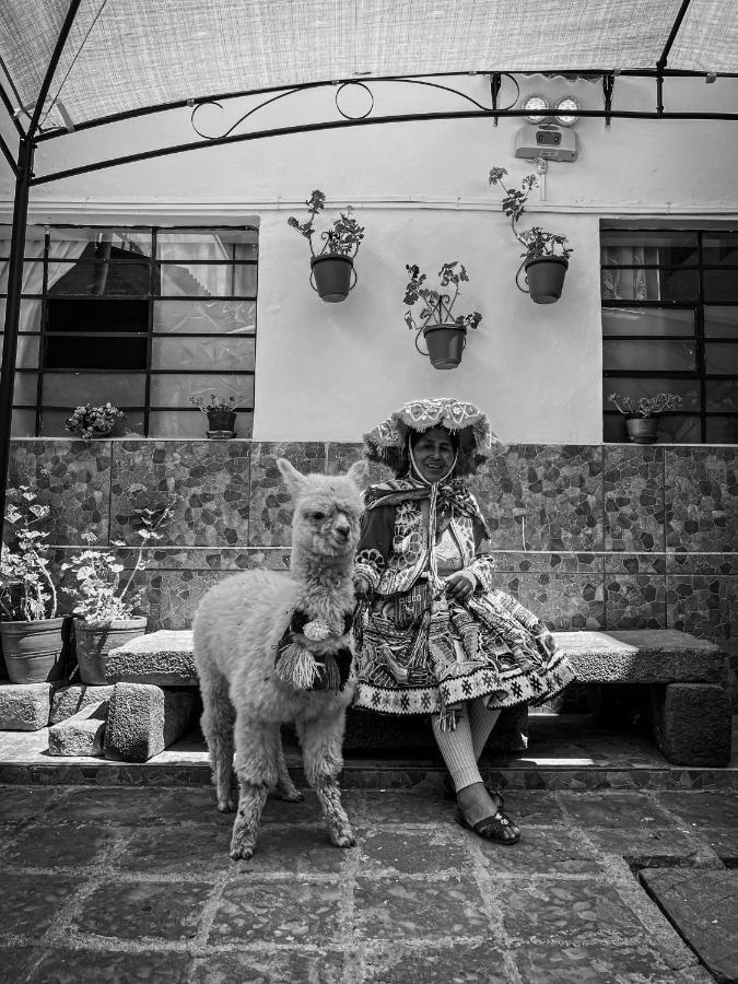 Couette-café Flamenco *
