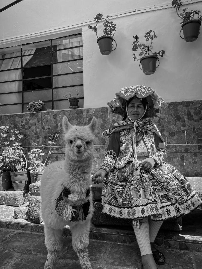Couette-café Flamenco